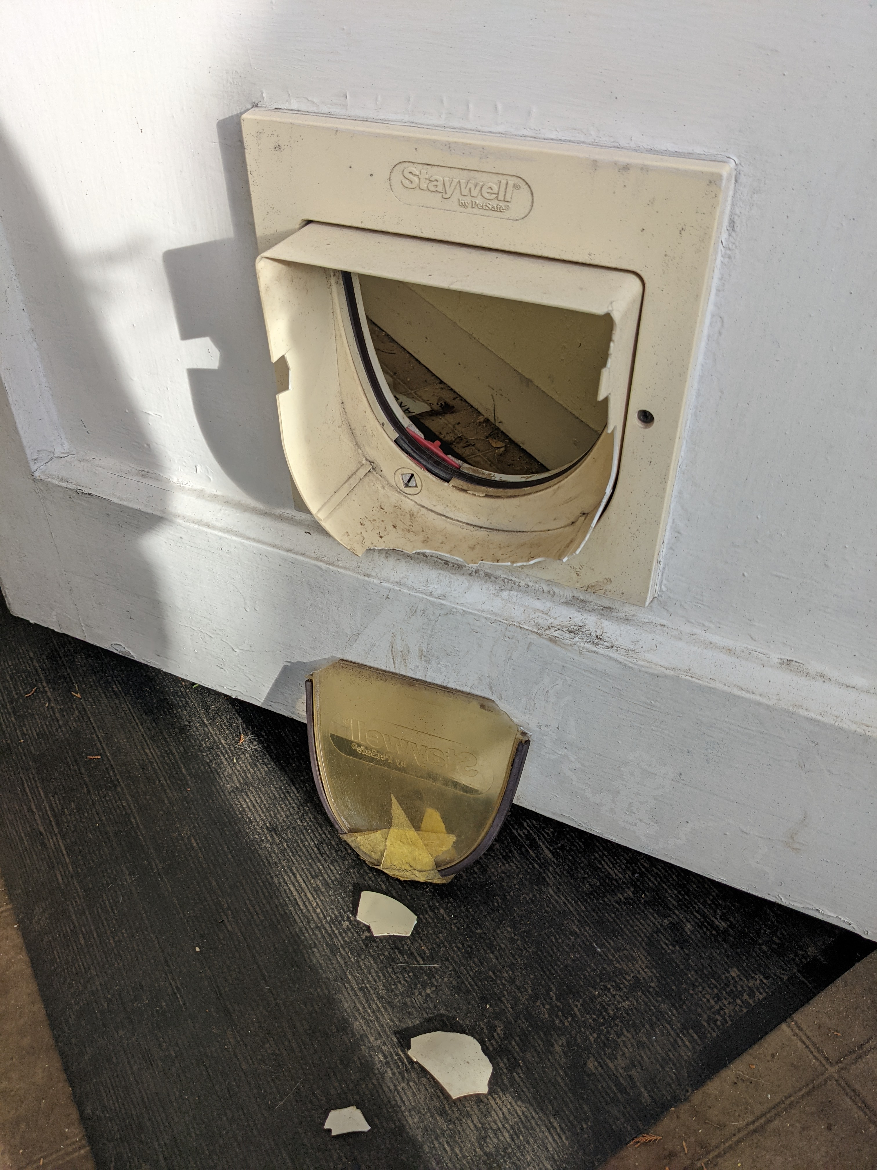 Cat flap carnage