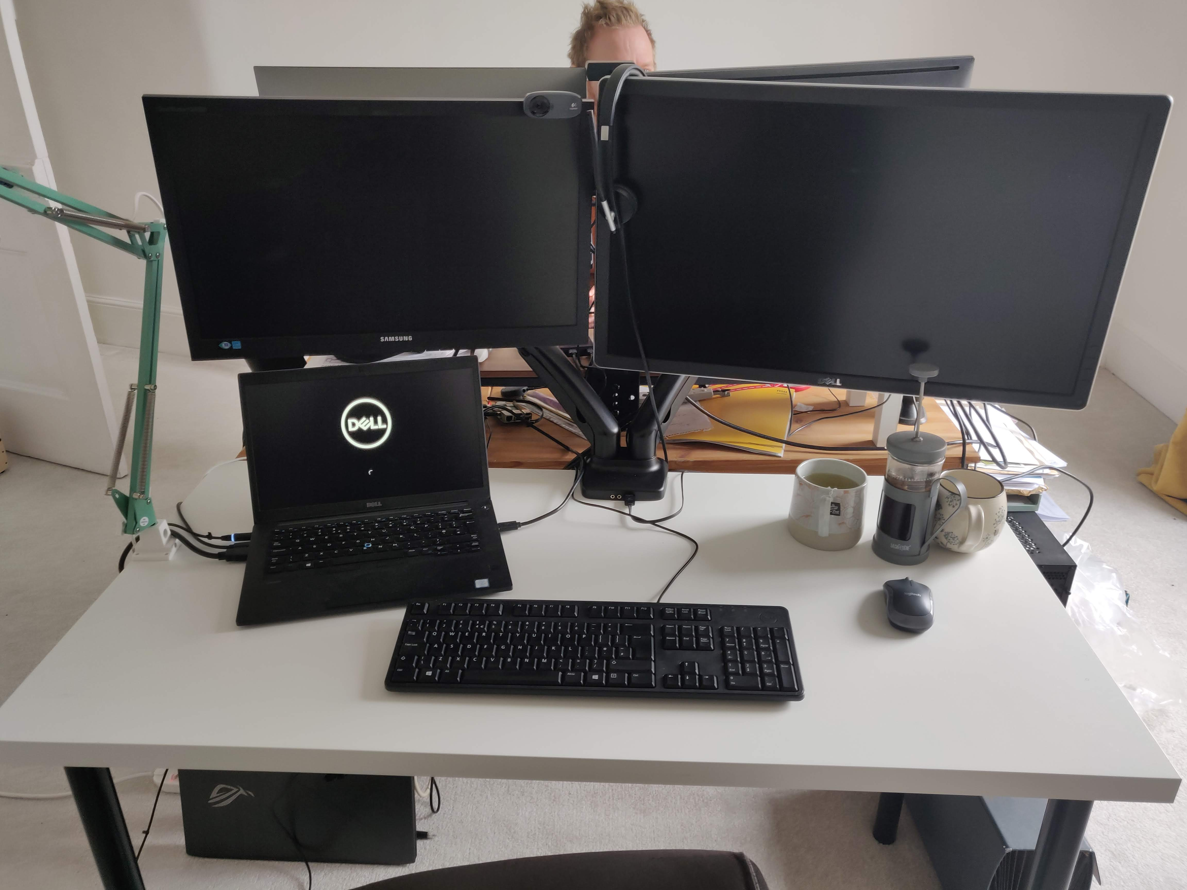 New monitor+arm for Nikki